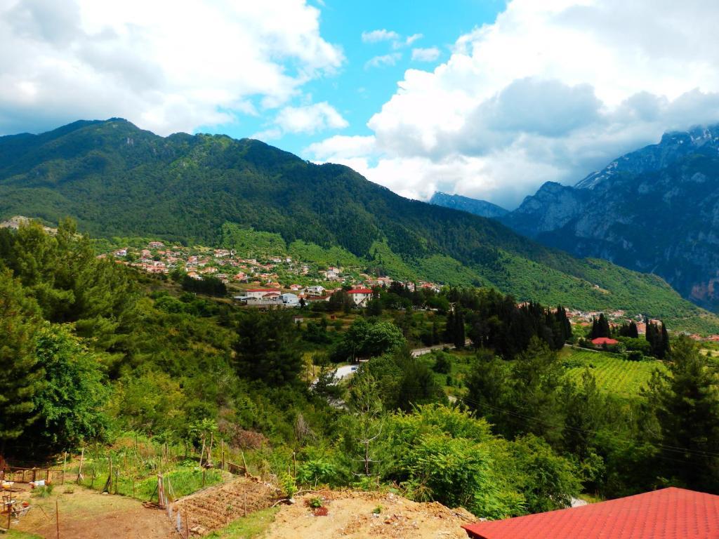 ホテル Konitsa Panorama エクステリア 写真